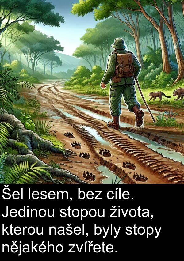 cíle: Šel lesem, bez cíle. Jedinou stopou života, kterou našel, byly stopy nějakého zvířete.