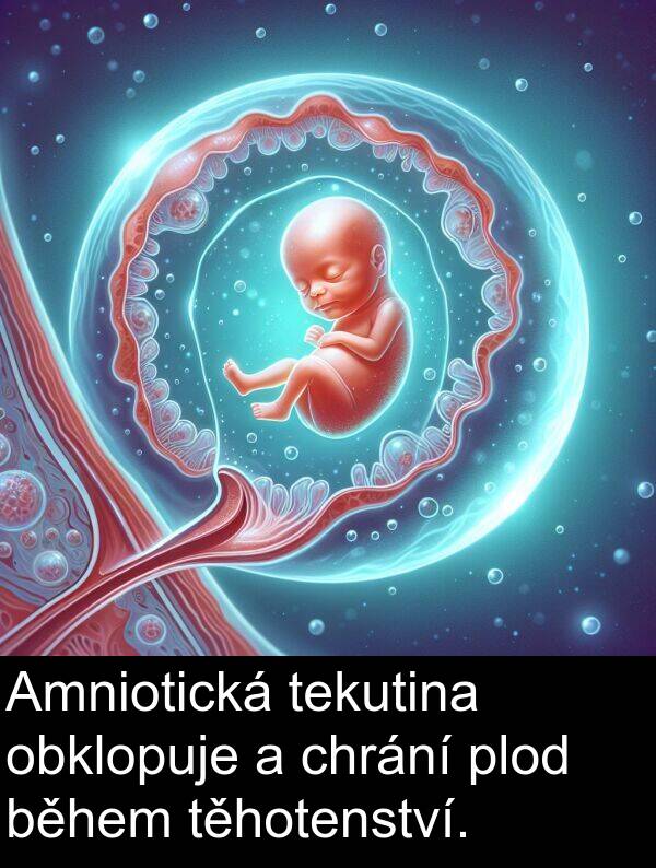 tekutina: Amniotická tekutina obklopuje a chrání plod během těhotenství.