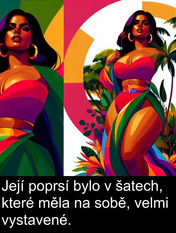 šatech: Její poprsí bylo v šatech, které měla na sobě, velmi vystavené.