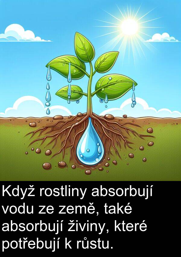živiny: Když rostliny absorbují vodu ze země, také absorbují živiny, které potřebují k růstu.