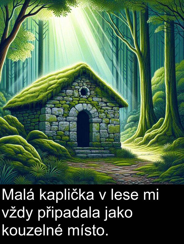 kaplička: Malá kaplička v lese mi vždy připadala jako kouzelné místo.