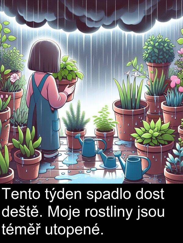 deště: Tento týden spadlo dost deště. Moje rostliny jsou téměř utopené.