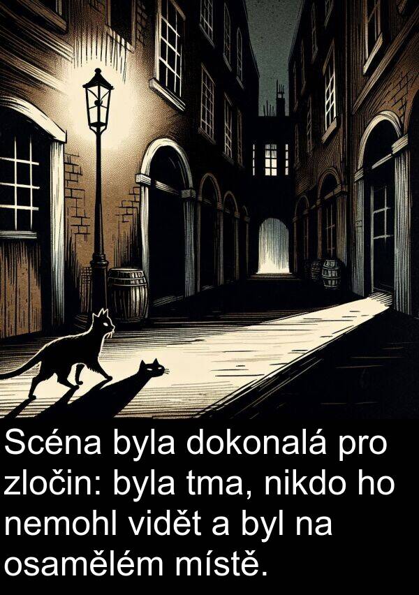 nemohl: Scéna byla dokonalá pro zločin: byla tma, nikdo ho nemohl vidět a byl na osamělém místě.