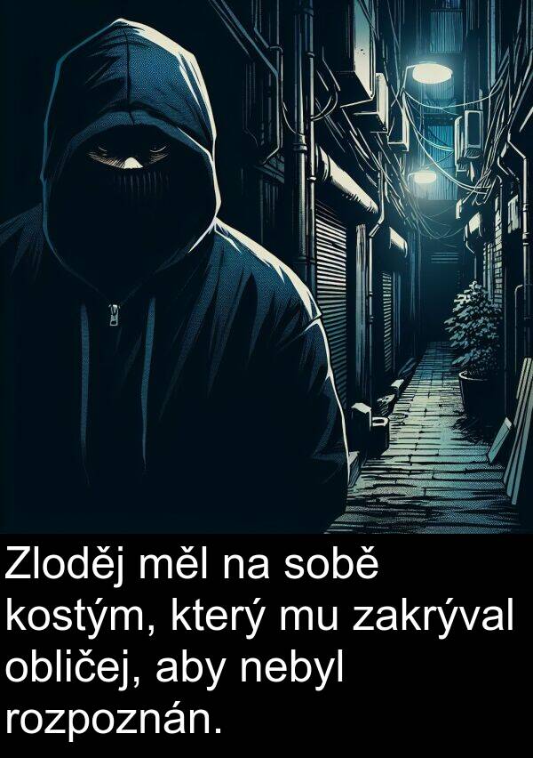 nebyl: Zloděj měl na sobě kostým, který mu zakrýval obličej, aby nebyl rozpoznán.