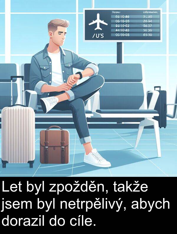 cíle: Let byl zpožděn, takže jsem byl netrpělivý, abych dorazil do cíle.
