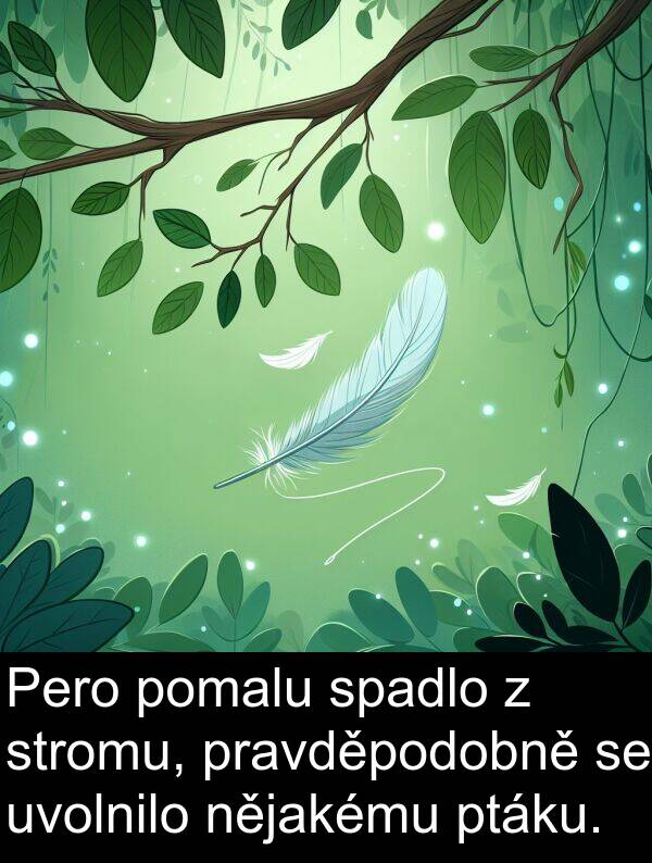 stromu: Pero pomalu spadlo z stromu, pravděpodobně se uvolnilo nějakému ptáku.