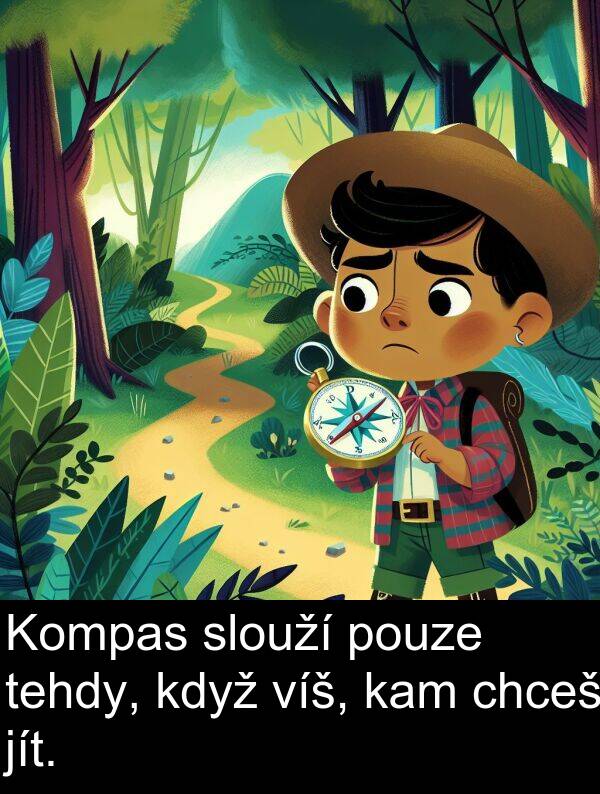 tehdy: Kompas slouží pouze tehdy, když víš, kam chceš jít.
