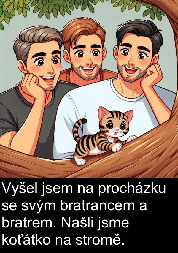 koťátko: Vyšel jsem na procházku se svým bratrancem a bratrem. Našli jsme koťátko na stromě.