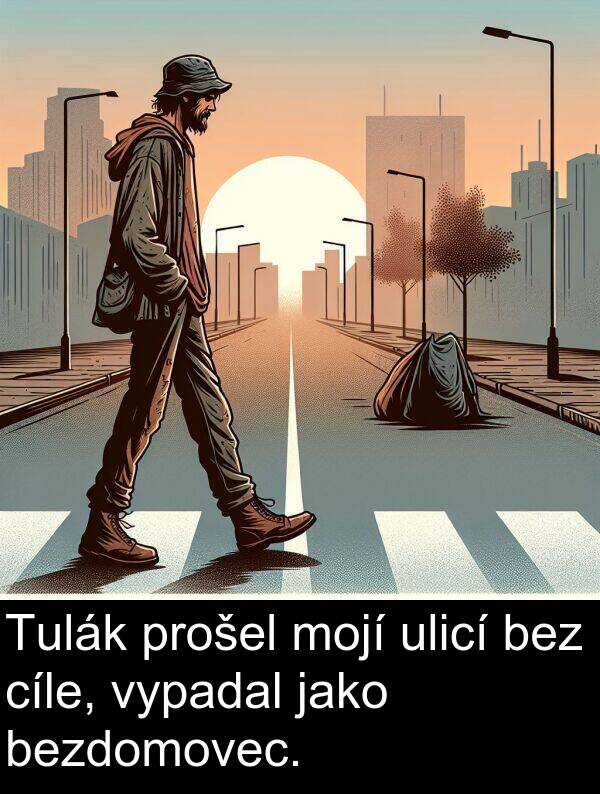 cíle: Tulák prošel mojí ulicí bez cíle, vypadal jako bezdomovec.