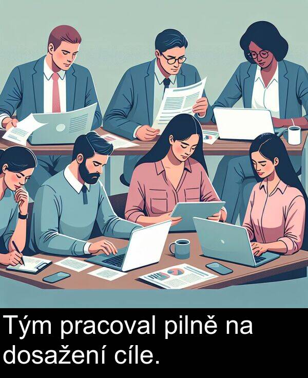 cíle: Tým pracoval pilně na dosažení cíle.