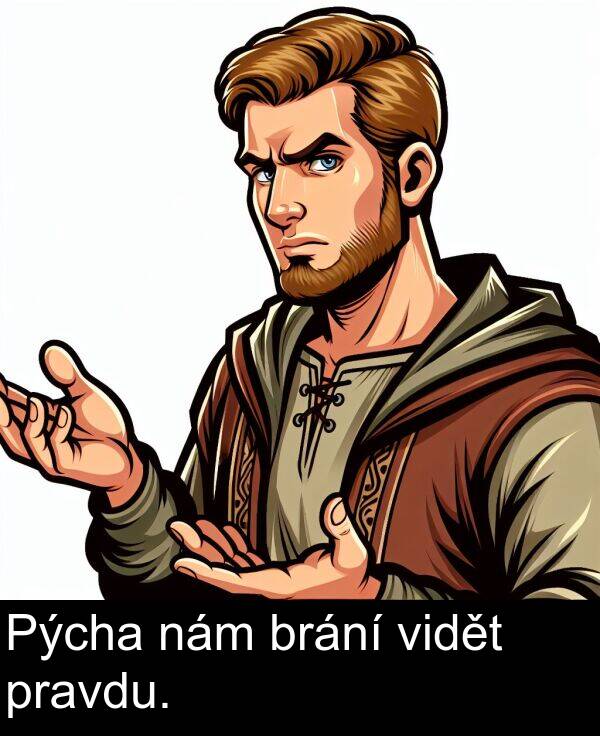 brání: Pýcha nám brání vidět pravdu.