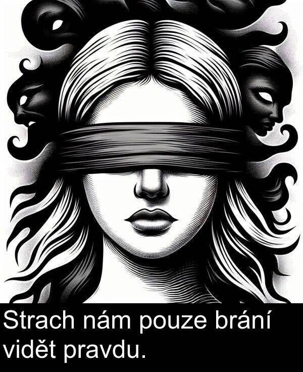 brání: Strach nám pouze brání vidět pravdu.