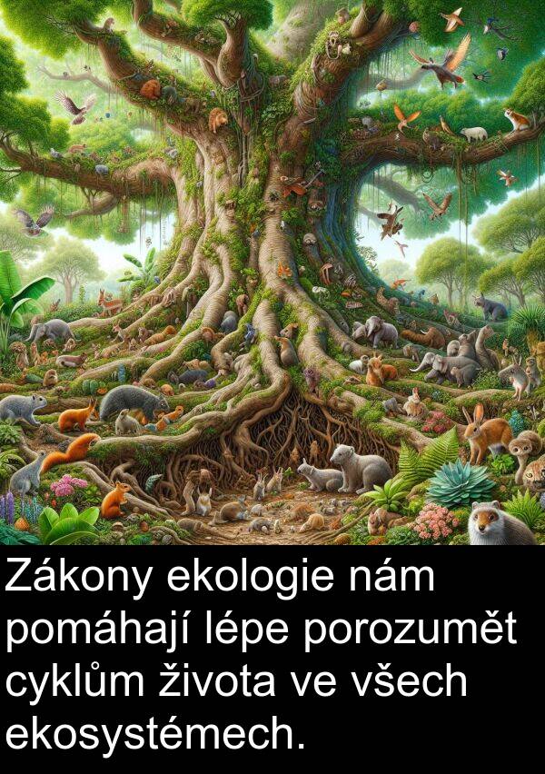života: Zákony ekologie nám pomáhají lépe porozumět cyklům života ve všech ekosystémech.