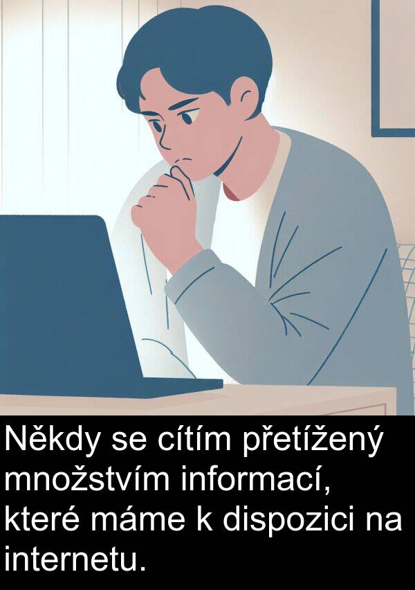 cítím: Někdy se cítím přetížený množstvím informací, které máme k dispozici na internetu.