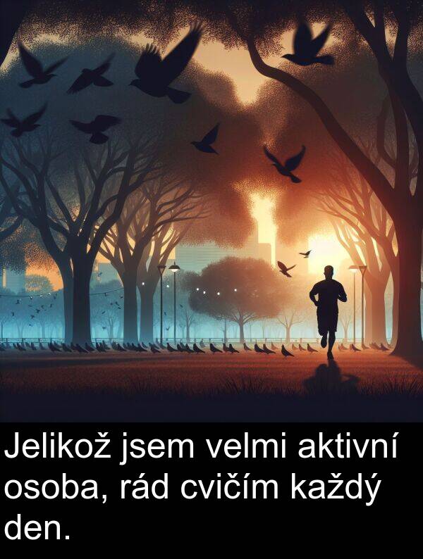 rád: Jelikož jsem velmi aktivní osoba, rád cvičím každý den.