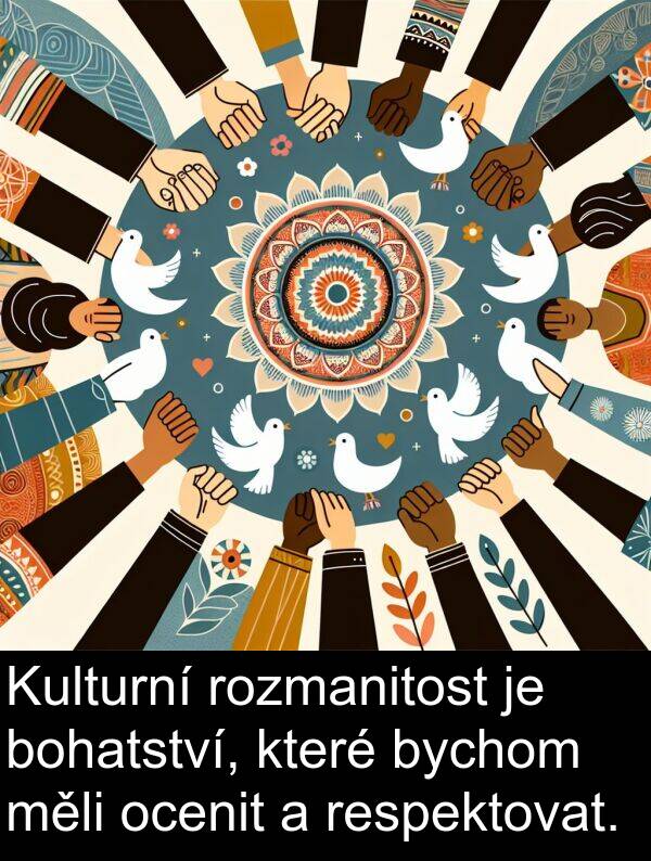 bychom: Kulturní rozmanitost je bohatství, které bychom měli ocenit a respektovat.
