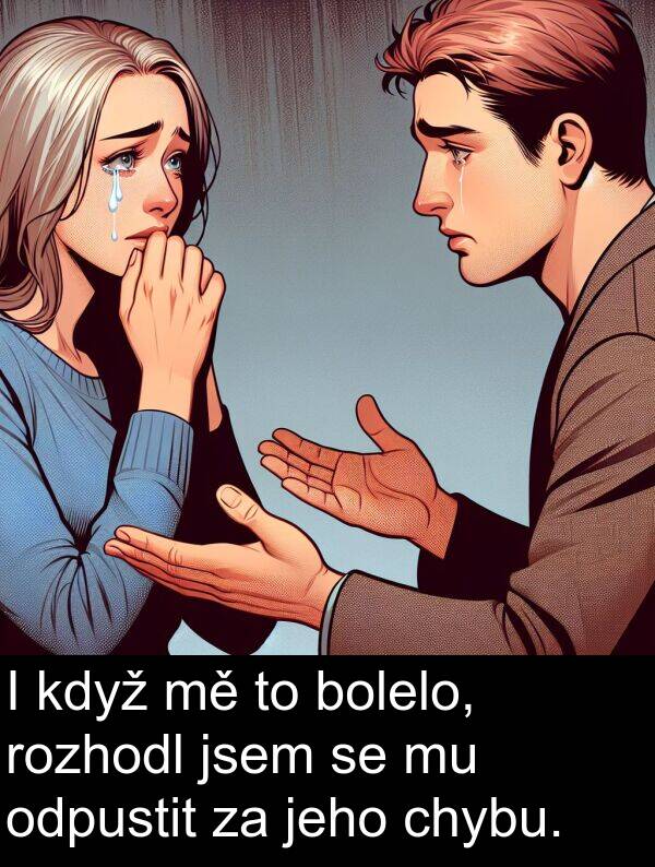 chybu: I když mě to bolelo, rozhodl jsem se mu odpustit za jeho chybu.