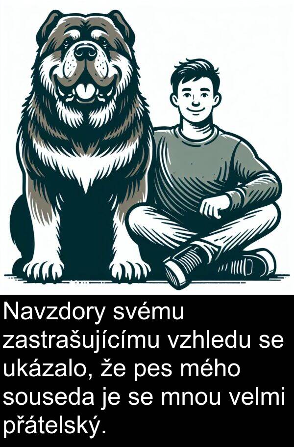 svému: Navzdory svému zastrašujícímu vzhledu se ukázalo, že pes mého souseda je se mnou velmi přátelský.