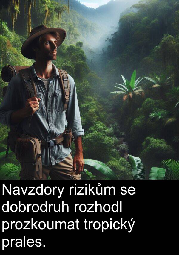 prozkoumat: Navzdory rizikům se dobrodruh rozhodl prozkoumat tropický prales.