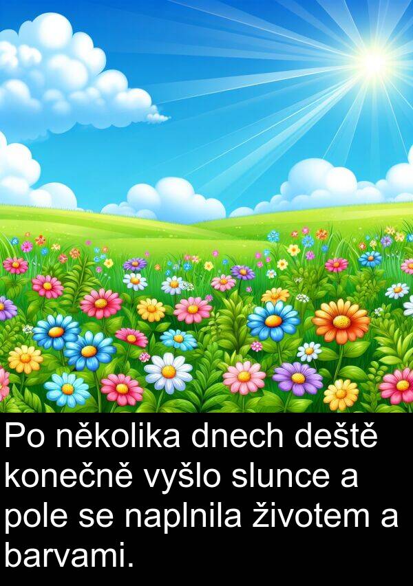 životem: Po několika dnech deště konečně vyšlo slunce a pole se naplnila životem a barvami.