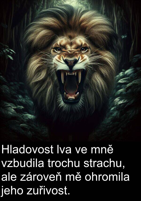 strachu: Hladovost lva ve mně vzbudila trochu strachu, ale zároveň mě ohromila jeho zuřivost.