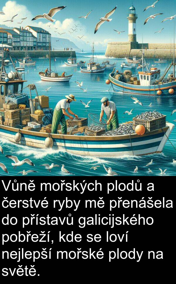 galicijského: Vůně mořských plodů a čerstvé ryby mě přenášela do přístavů galicijského pobřeží, kde se loví nejlepší mořské plody na světě.