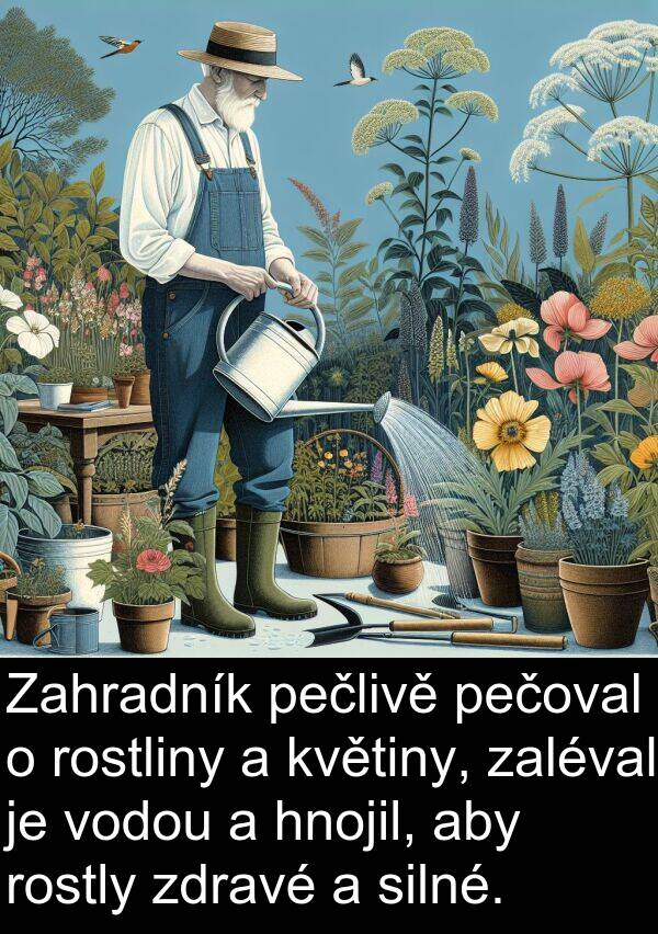 zdravé: Zahradník pečlivě pečoval o rostliny a květiny, zaléval je vodou a hnojil, aby rostly zdravé a silné.