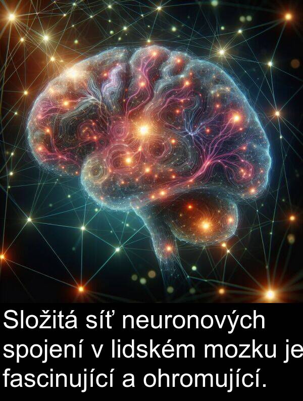 fascinující: Složitá síť neuronových spojení v lidském mozku je fascinující a ohromující.