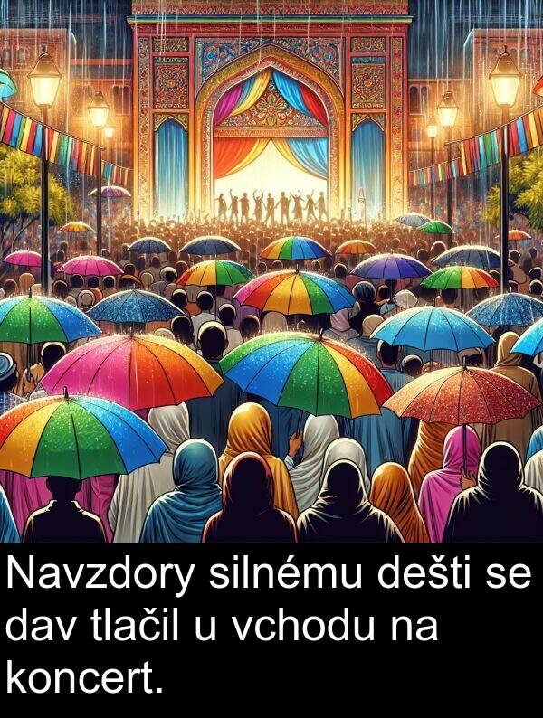 dav: Navzdory silnému dešti se dav tlačil u vchodu na koncert.