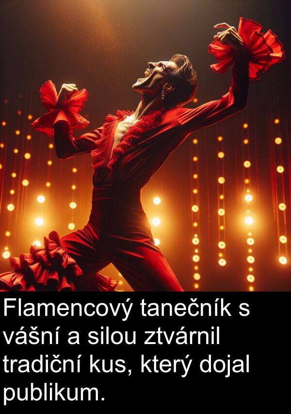 vášní: Flamencový tanečník s vášní a silou ztvárnil tradiční kus, který dojal publikum.