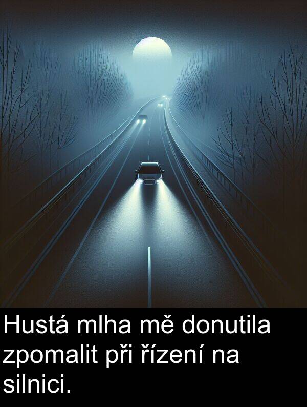 řízení: Hustá mlha mě donutila zpomalit při řízení na silnici.