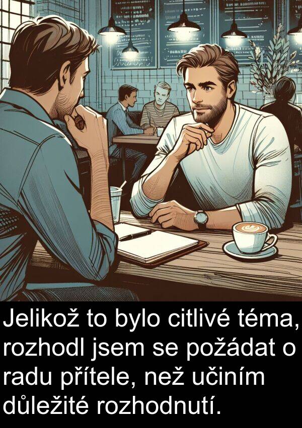 radu: Jelikož to bylo citlivé téma, rozhodl jsem se požádat o radu přítele, než učiním důležité rozhodnutí.