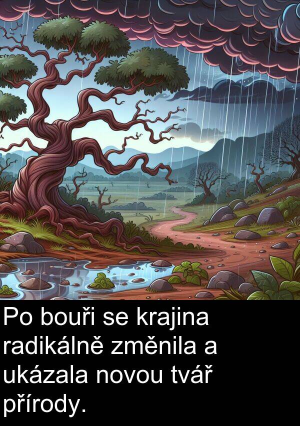 radikálně: Po bouři se krajina radikálně změnila a ukázala novou tvář přírody.
