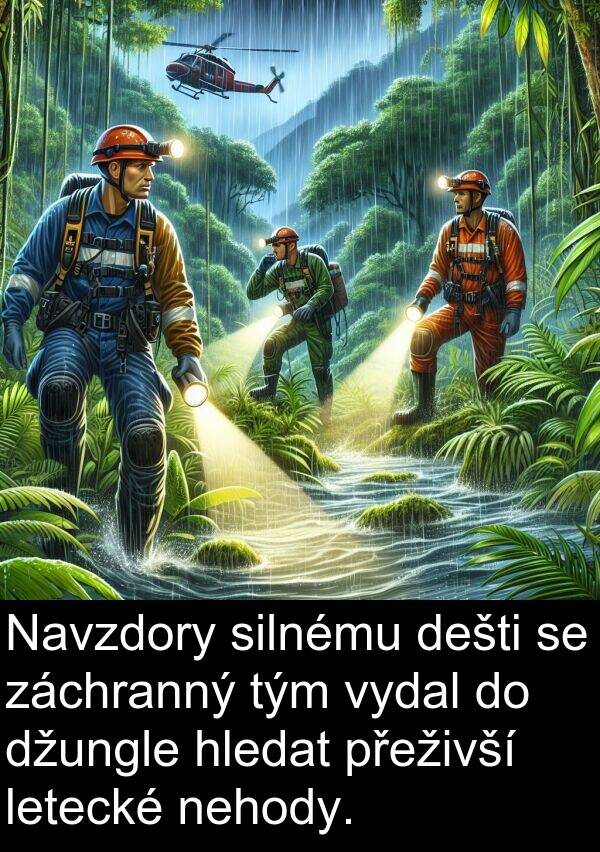 silnému: Navzdory silnému dešti se záchranný tým vydal do džungle hledat přeživší letecké nehody.