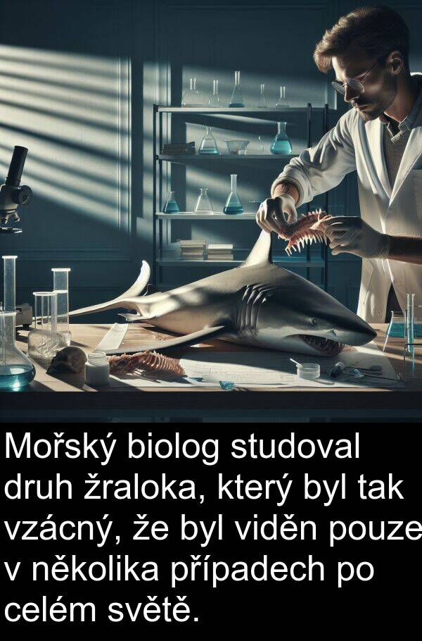 celém: Mořský biolog studoval druh žraloka, který byl tak vzácný, že byl viděn pouze v několika případech po celém světě.