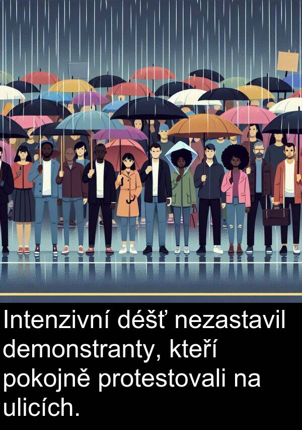 protestovali: Intenzivní déšť nezastavil demonstranty, kteří pokojně protestovali na ulicích.