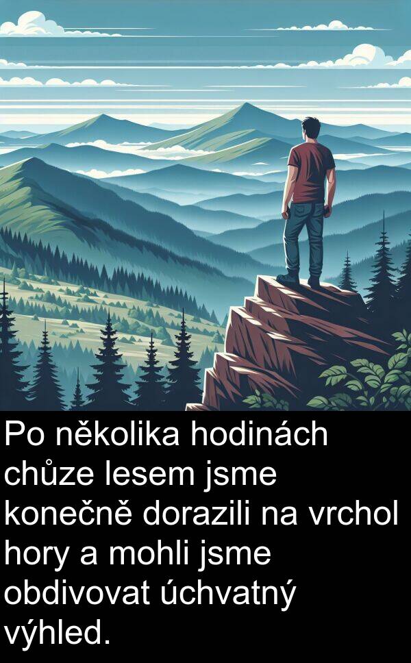 obdivovat: Po několika hodinách chůze lesem jsme konečně dorazili na vrchol hory a mohli jsme obdivovat úchvatný výhled.