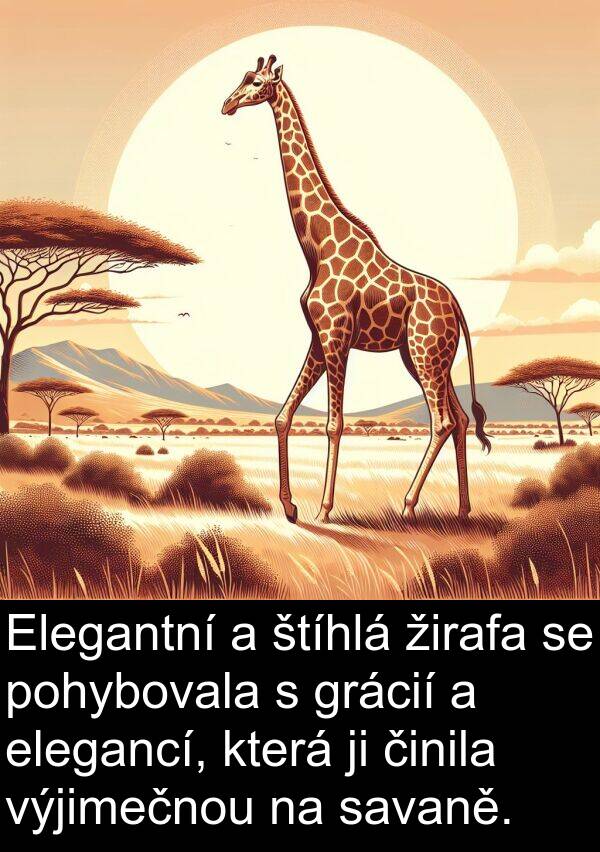 grácií: Elegantní a štíhlá žirafa se pohybovala s grácií a elegancí, která ji činila výjimečnou na savaně.