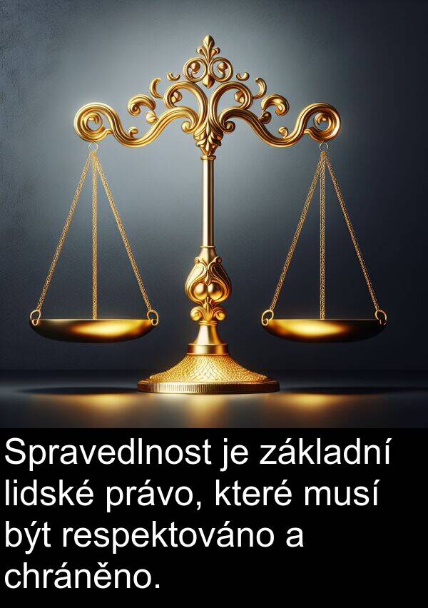 chráněno: Spravedlnost je základní lidské právo, které musí být respektováno a chráněno.