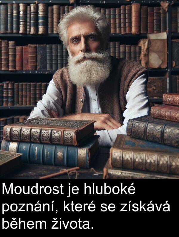 života: Moudrost je hluboké poznání, které se získává během života.