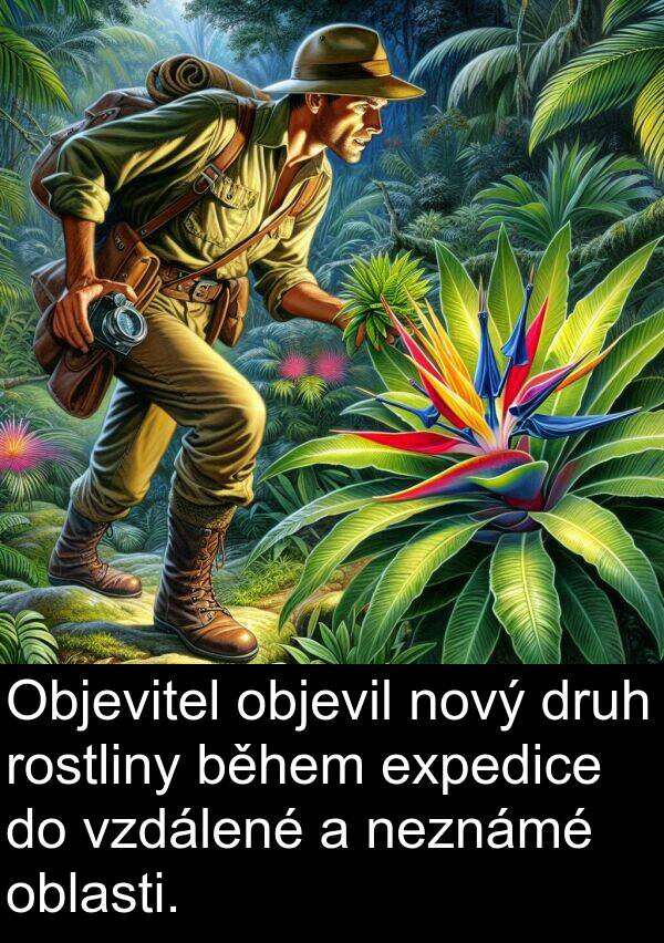 objevil: Objevitel objevil nový druh rostliny během expedice do vzdálené a neznámé oblasti.