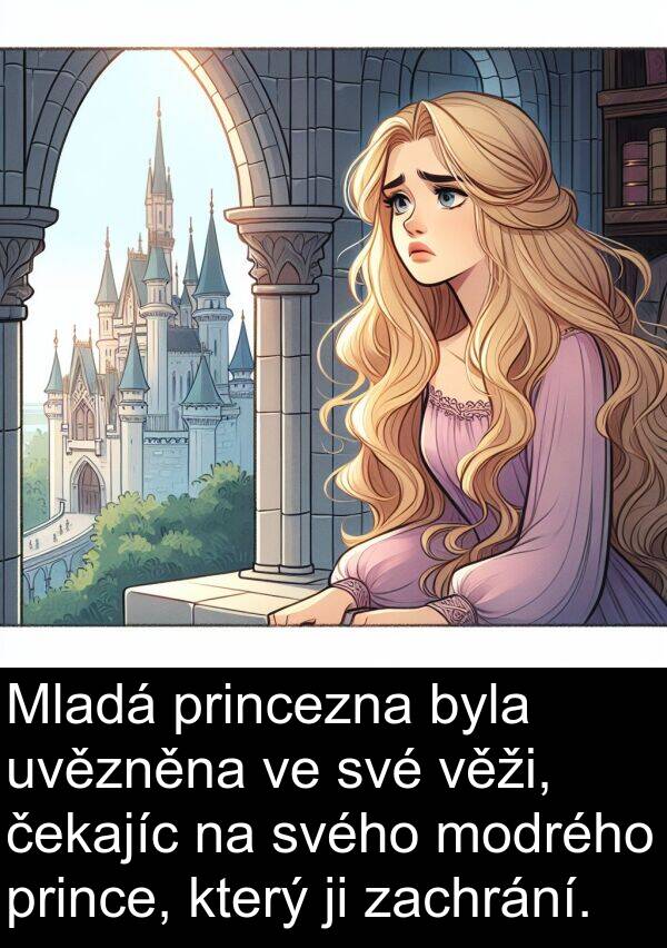 čekajíc: Mladá princezna byla uvězněna ve své věži, čekajíc na svého modrého prince, který ji zachrání.