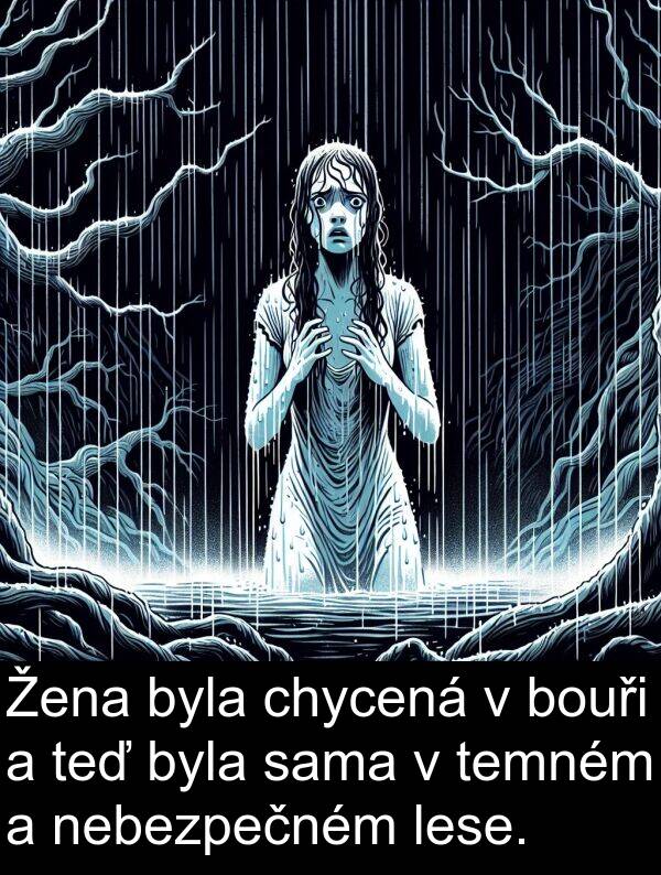 sama: Žena byla chycená v bouři a teď byla sama v temném a nebezpečném lese.