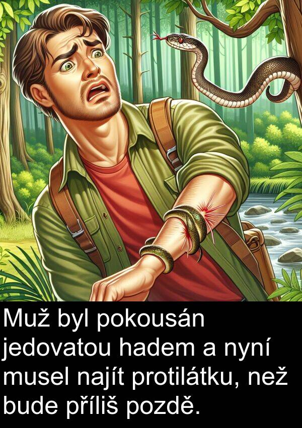 hadem: Muž byl pokousán jedovatou hadem a nyní musel najít protilátku, než bude příliš pozdě.