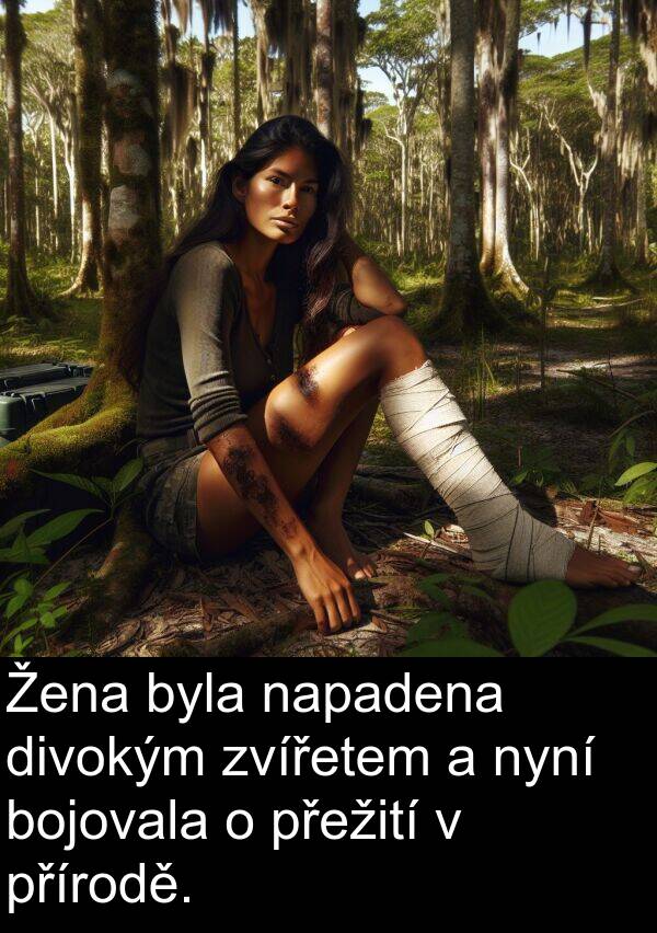 přírodě: Žena byla napadena divokým zvířetem a nyní bojovala o přežití v přírodě.