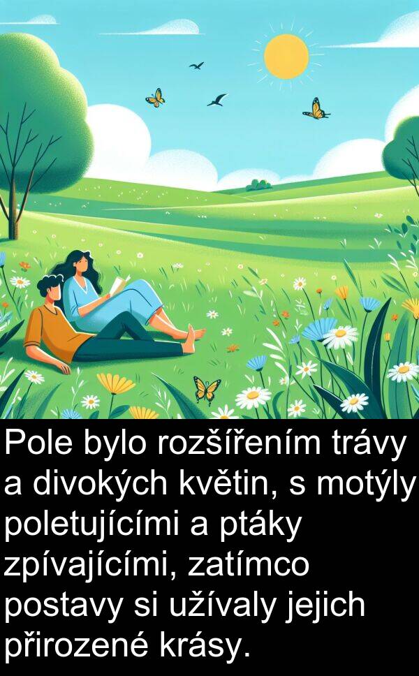 přirozené: Pole bylo rozšířením trávy a divokých květin, s motýly poletujícími a ptáky zpívajícími, zatímco postavy si užívaly jejich přirozené krásy.