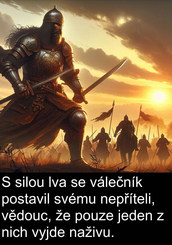 válečník: S silou lva se válečník postavil svému nepříteli, vědouc, že pouze jeden z nich vyjde naživu.