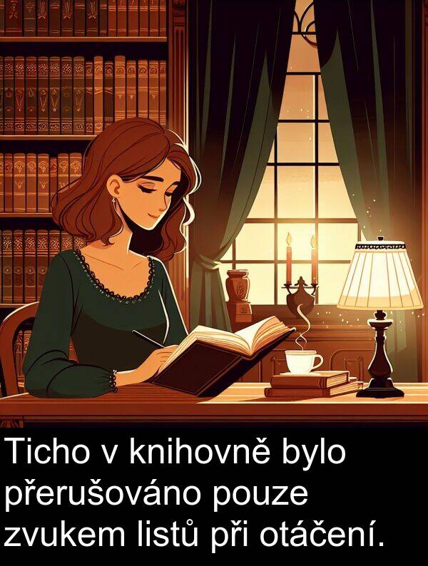 přerušováno: Ticho v knihovně bylo přerušováno pouze zvukem listů při otáčení.