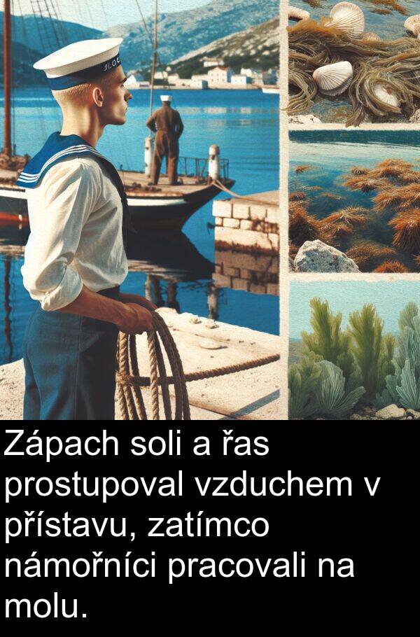 řas: Zápach soli a řas prostupoval vzduchem v přístavu, zatímco námořníci pracovali na molu.