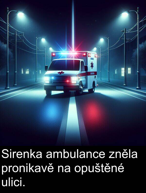 ambulance: Sirenka ambulance zněla pronikavě na opuštěné ulici.